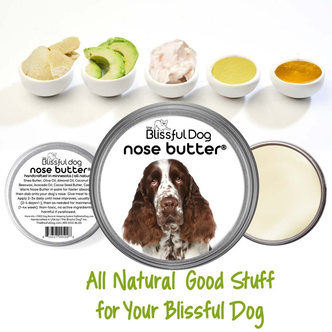 Springer Spaniel Nose is dry